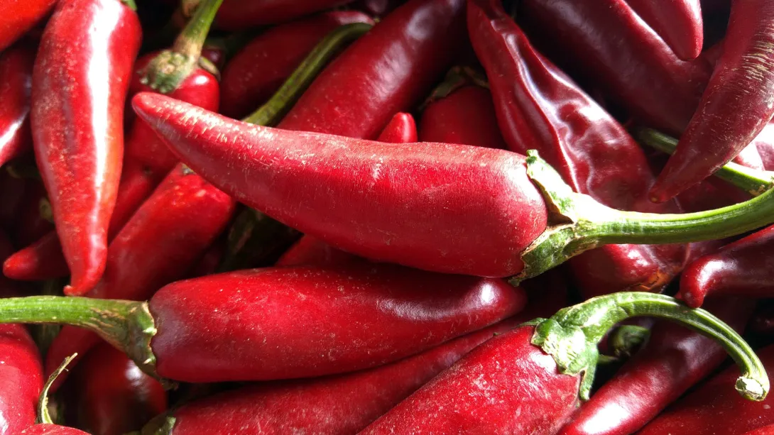 Paprika