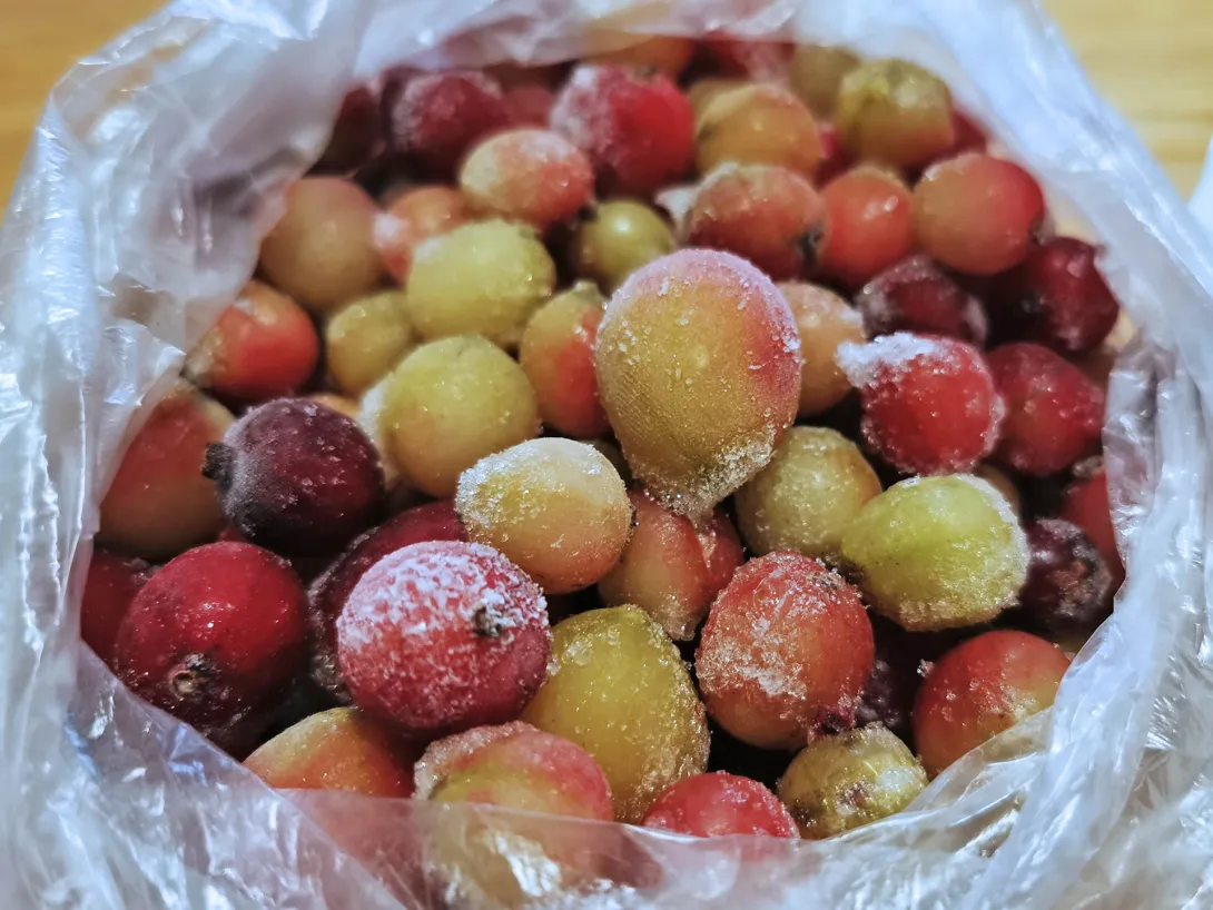 Pöszméte / Egresleves