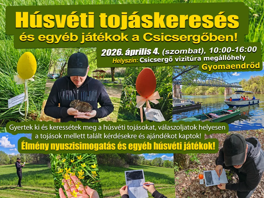 Húsvéti tojáskeresés a Csicsergőben