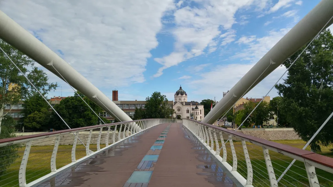 Tiszavirág híd, Szolnok