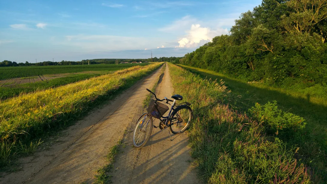 Körös-Maros Nemzeti Park