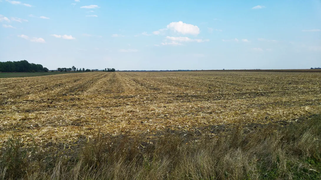 Kerékpártúra a téglagyári dűlőn
