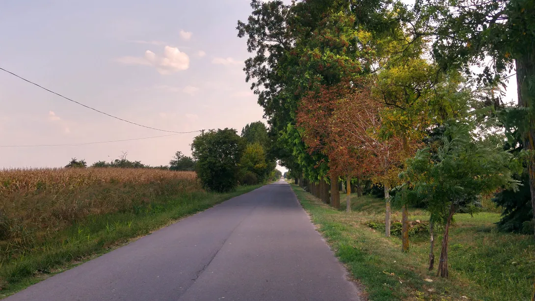 Kerékpártúra a téglagyári dűlőn