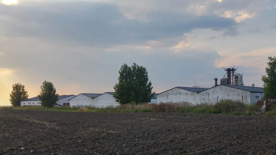 Győzelem MGTSZ