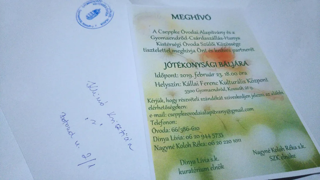 Kistérségi Óvoda jótékonysági bálja