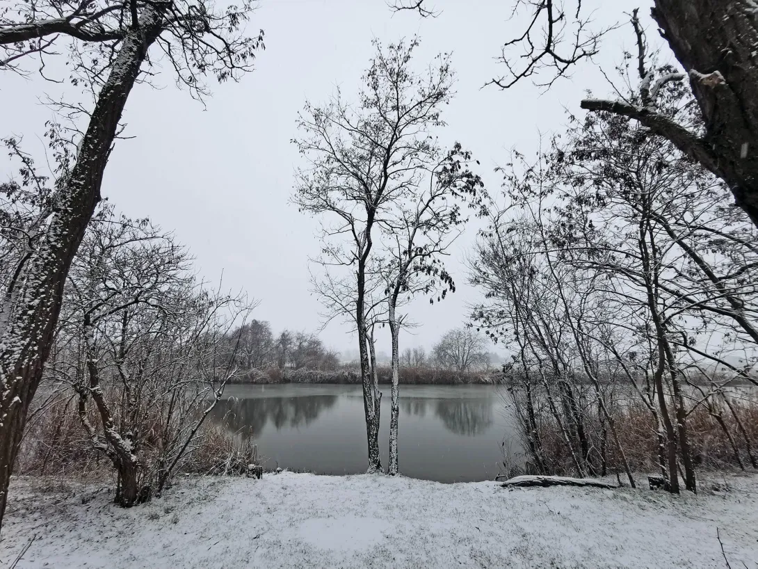 Németh-zugi holtág a hóesésben