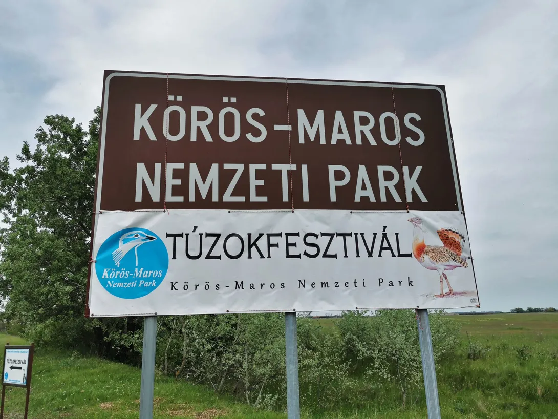 V. Túzokfesztivál - Természetvédelmi nyílt nap