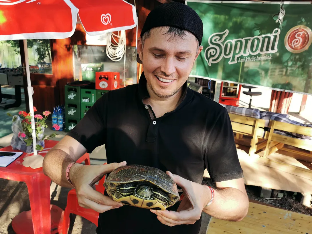 Vörösfülű ékszerteknős, Körös-Maros Nemzeti Park