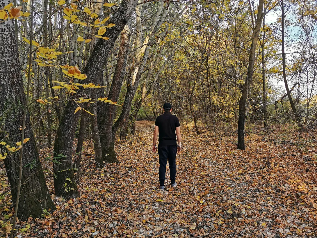 Ártéri erdő, Körös-Maros Nemzeti Park