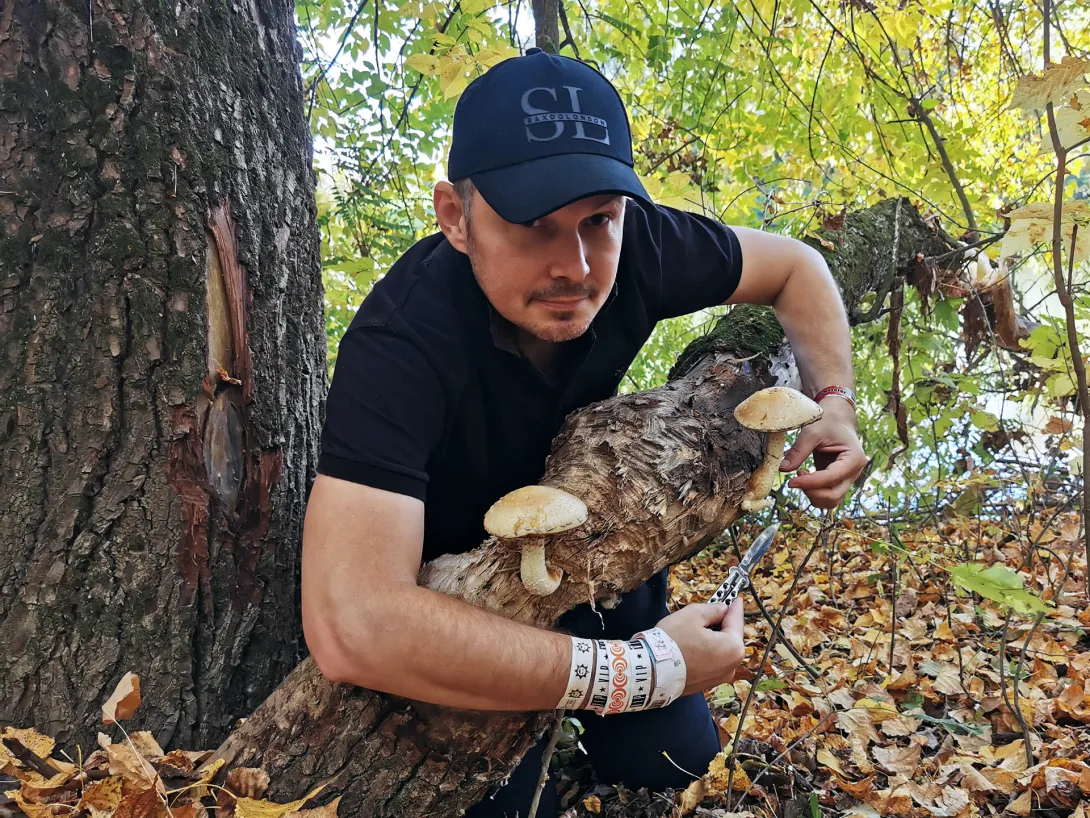 Nyárfa-tőkegomba, Őszi gombavadászat, Körös-Maros Nemzeti Park