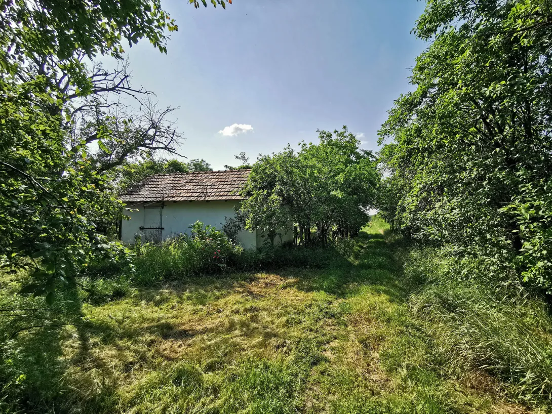 Pocos kert, Gyomaendrőd
