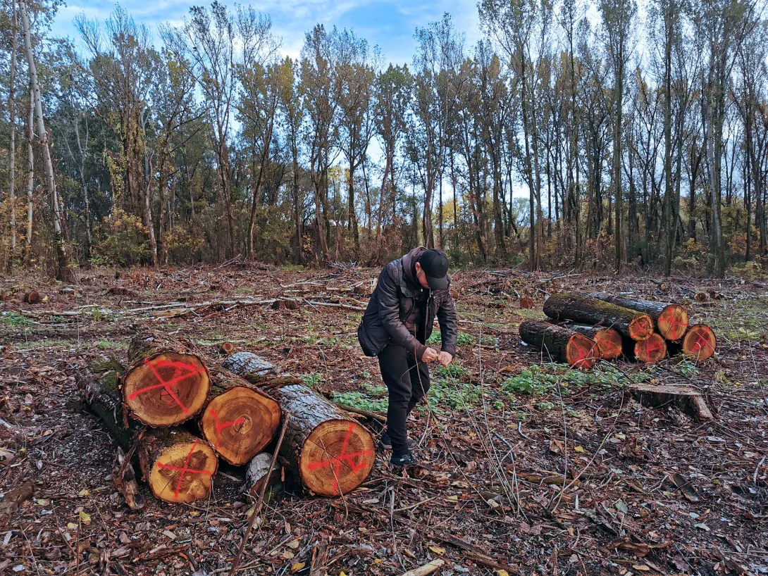 Élőhelyrekonstrukciós program a Hármas-Körös hullámterében
