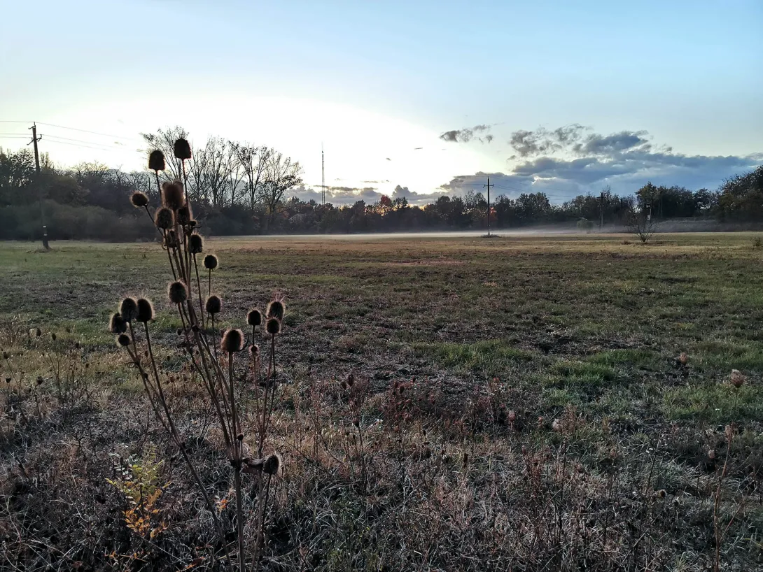 Őszi naplemente, Ködös táj, Körös-Maros Nemzeti Park