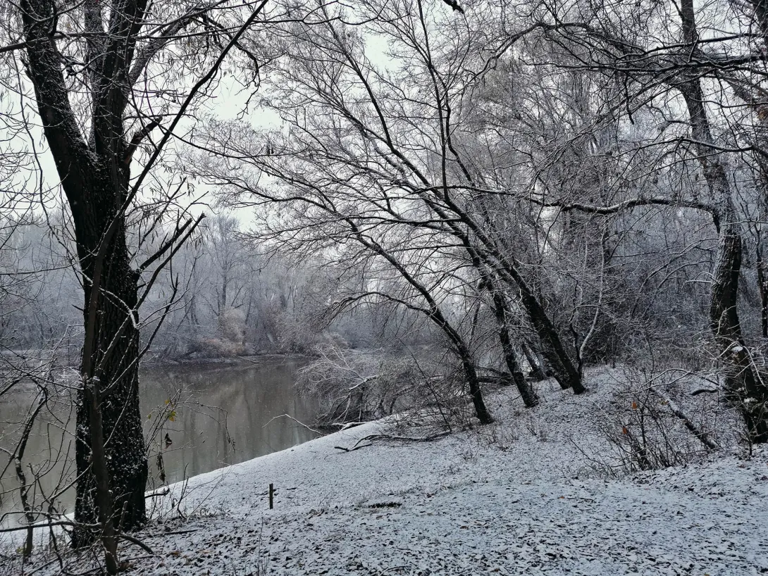 Szakadó hóesés, Szabadstrand a Hármas-Körös gyomaendrődi szakaszán