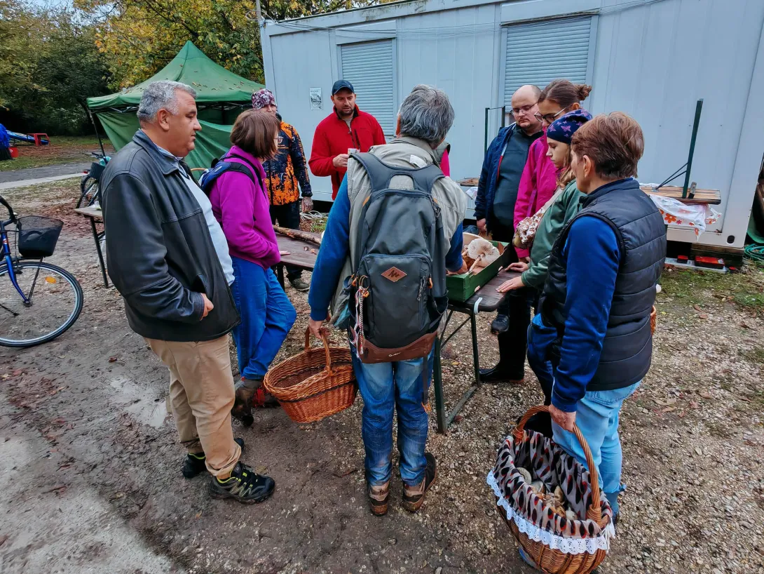 Gombás Nap a Csicsergőben, Gyomaendrőd, Csicsergő vizitúra megállóhely és horgásztanya