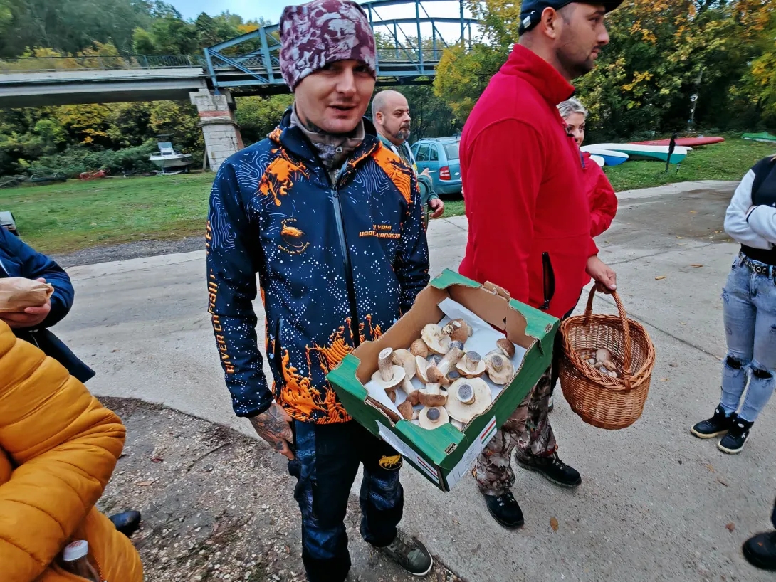 Nyárfa érdestinóru gomba, Gombás Nap a Csicsergőben, Gyomaendrőd, Csicsergő vizitúra megállóhely és horgásztanya