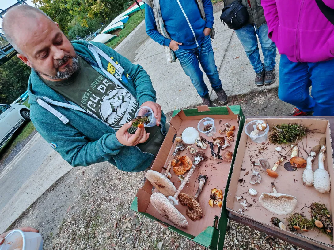 Gombás Nap a Csicsergőben, Gyomaendrőd, Csicsergő vizitúra megállóhely és horgásztanya