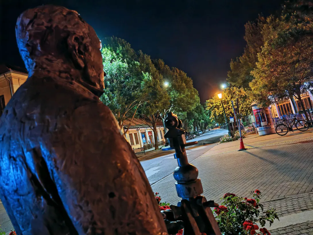 Bodoki Károly szobor, Gyula